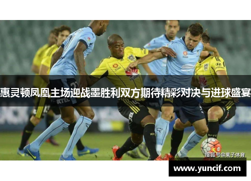 惠灵顿凤凰主场迎战墨胜利双方期待精彩对决与进球盛宴