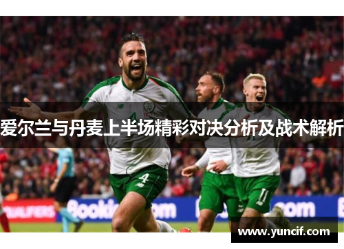 爱尔兰与丹麦上半场精彩对决分析及战术解析